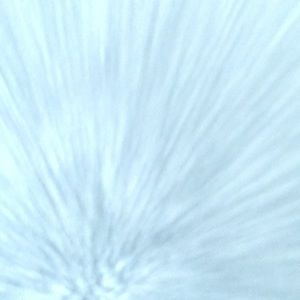 Meet your Posher, Carina